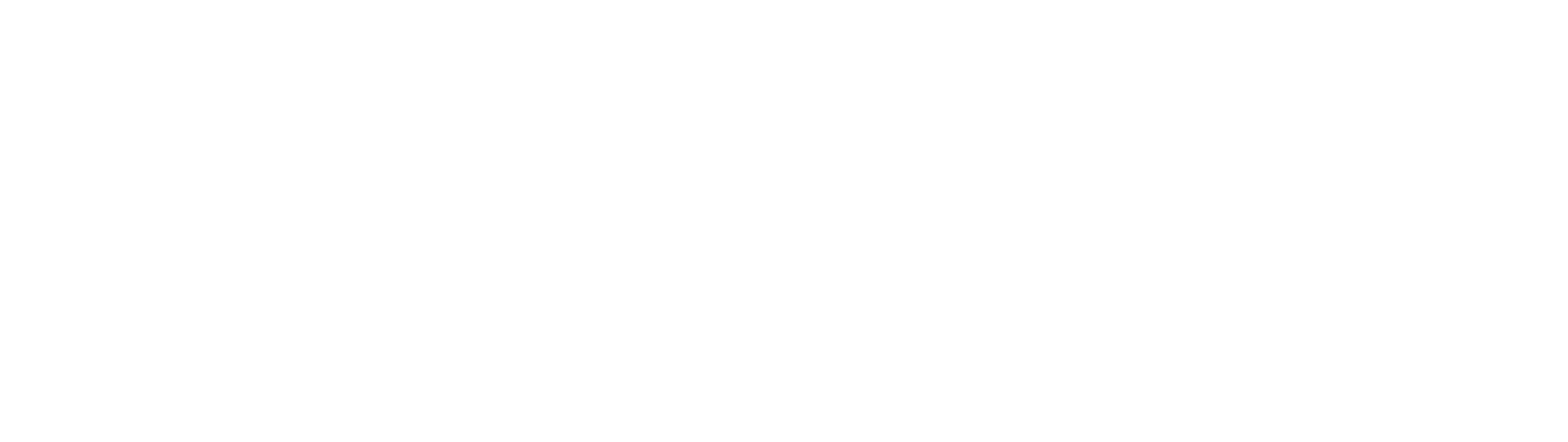 logo_bipnet
