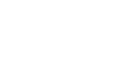 logo_bipnet